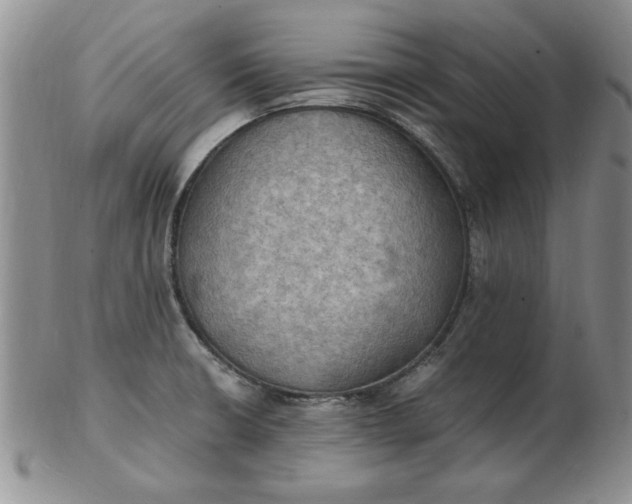 X0000103141426200809051604