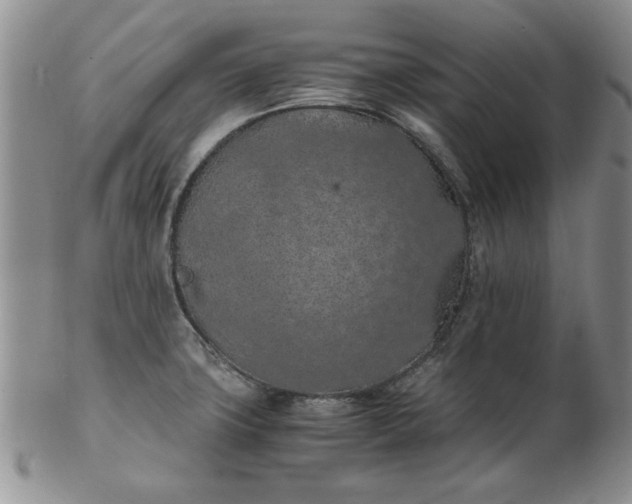 X0000103141427200809051604