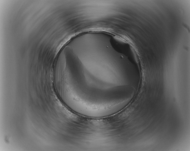 X0000103141428200809051604