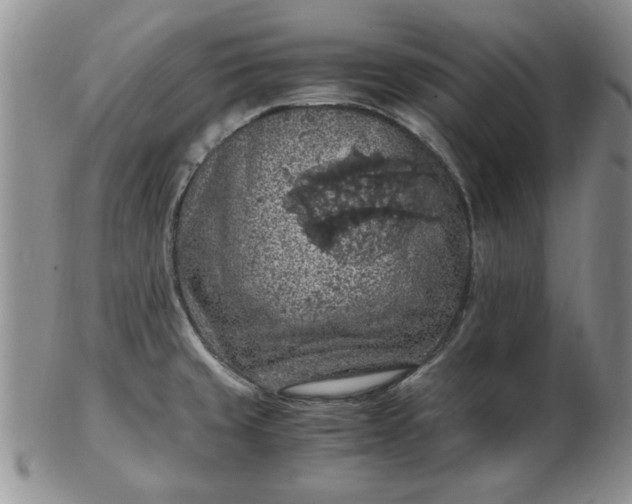 X0000103141429200809051604