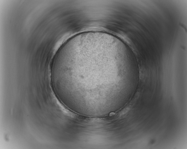 X0000103141430200809051604