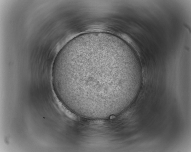 X0000103141431200809051604