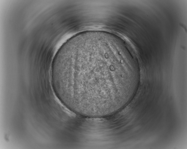 X0000103141432200809051604