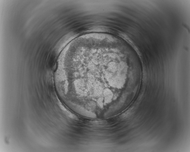 X0000103141433200809051604