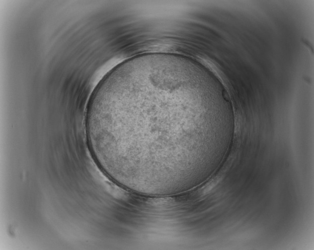 X0000103141434200809051604