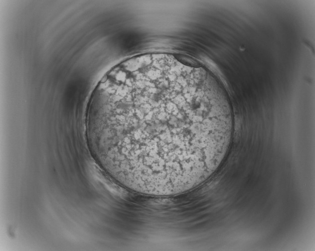 X0000103141435200809051604