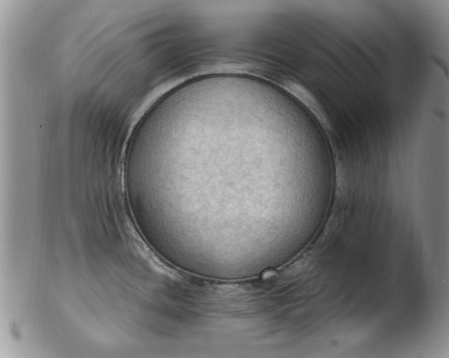 X0000103141436200809051604