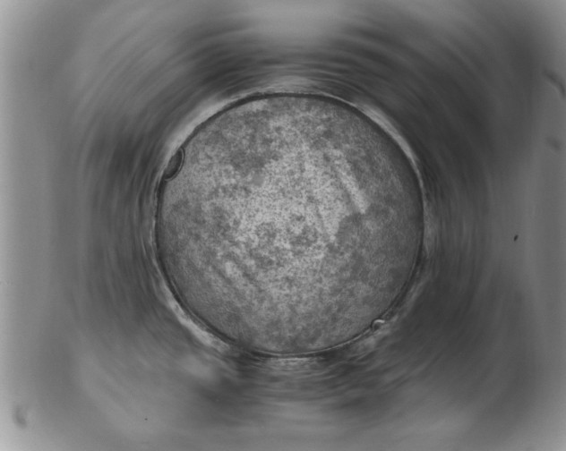 X0000103141437200809051604