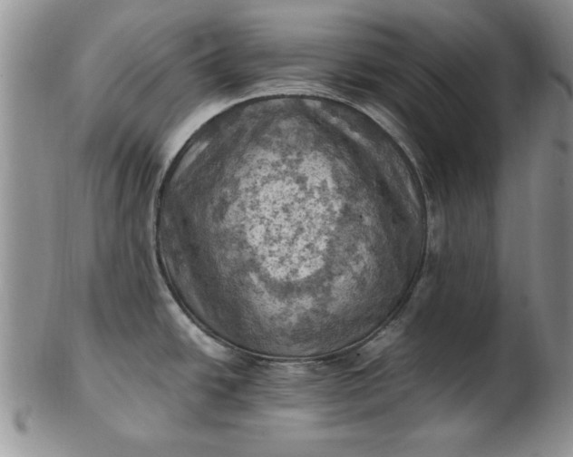 X0000103141438200809051604