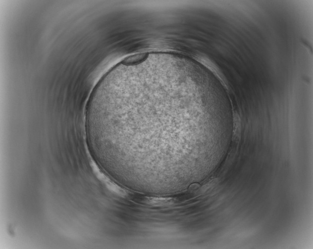 X0000103141439200809051604