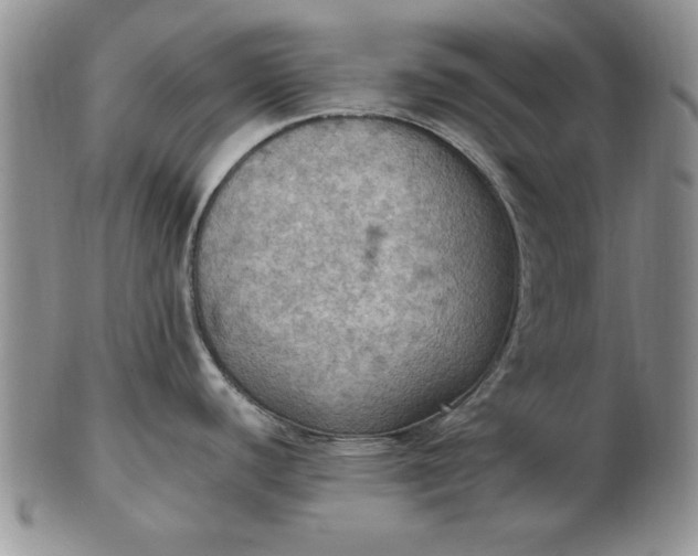 X0000103141440200809051604