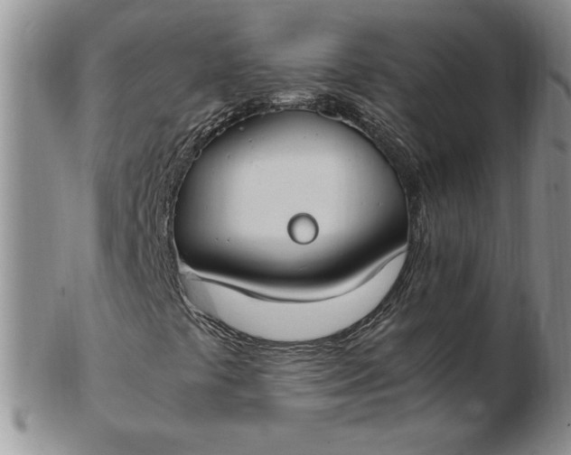 X0000103141441200809051603