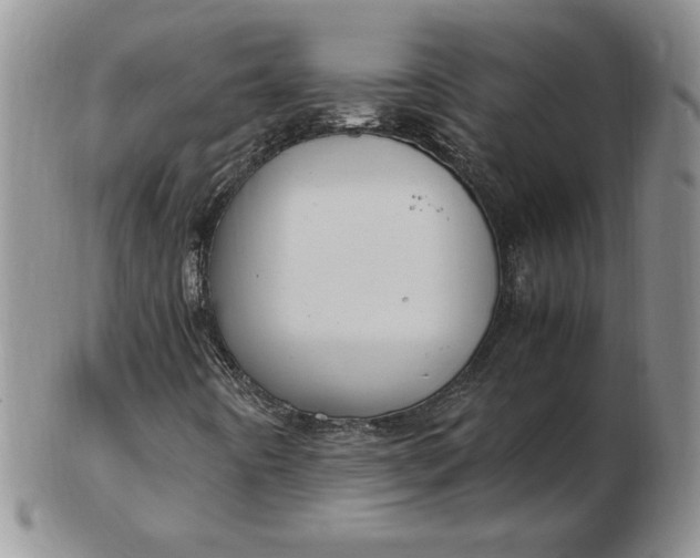 X0000103141442200809051603