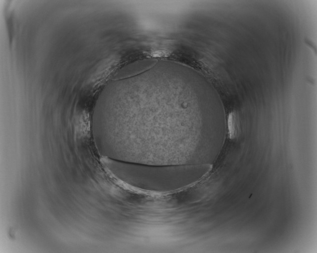 X0000103141443200809051603