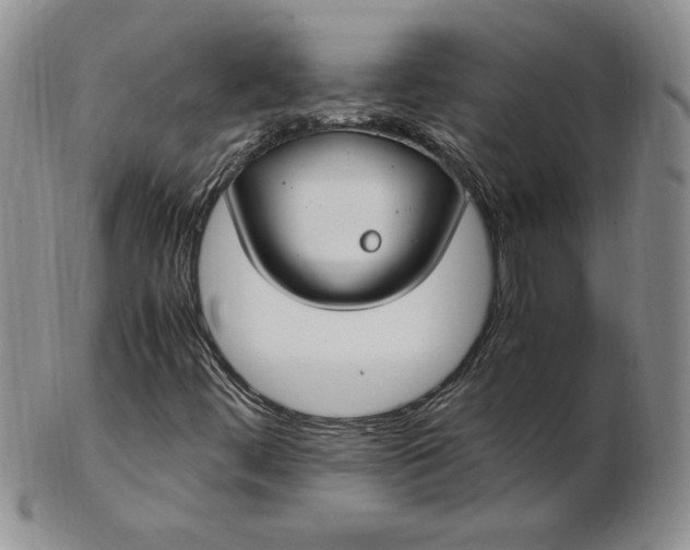 X0000103141444200809051603