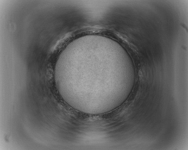 X0000103141447200809051603