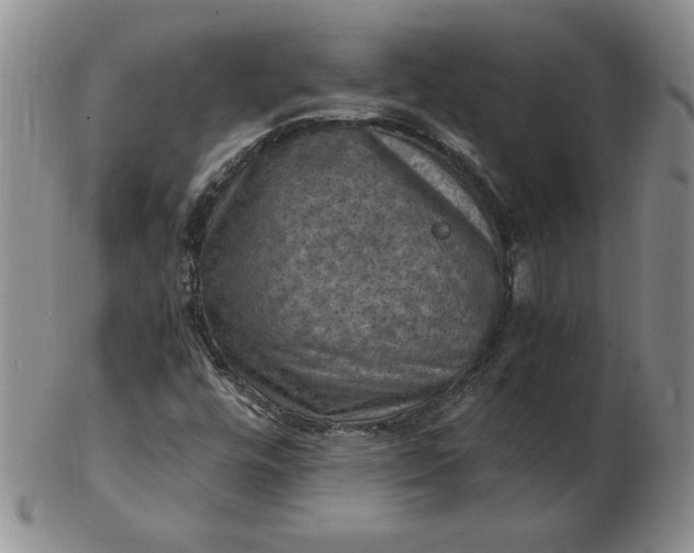 X0000103141448200809051603