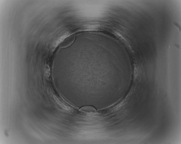 X0000103141449200809051603