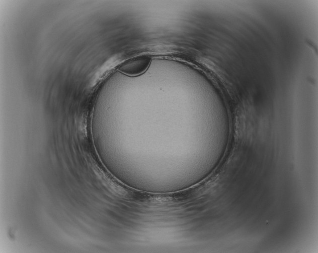 X0000103141451200809051603