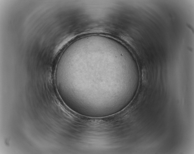 X0000103141452200809051603