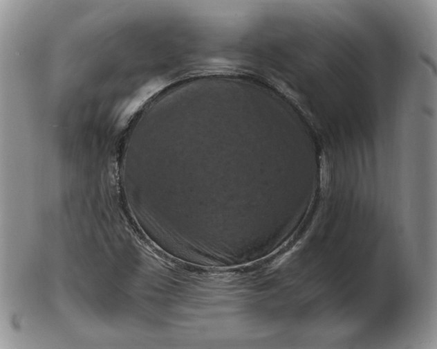 X0000103141453200809051603