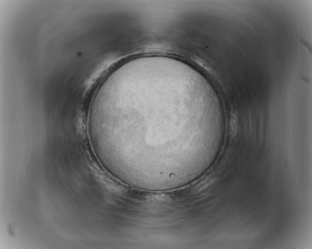 X0000103141454200809051603