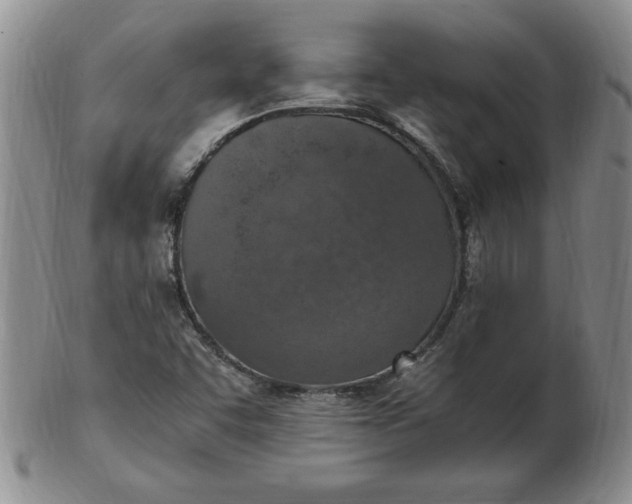 X0000103141455200809051603