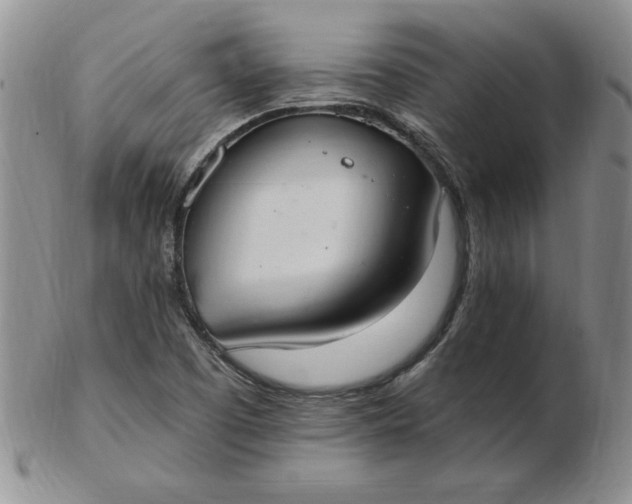 X0000103141457200809051603