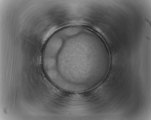 X0000103141459200809051603