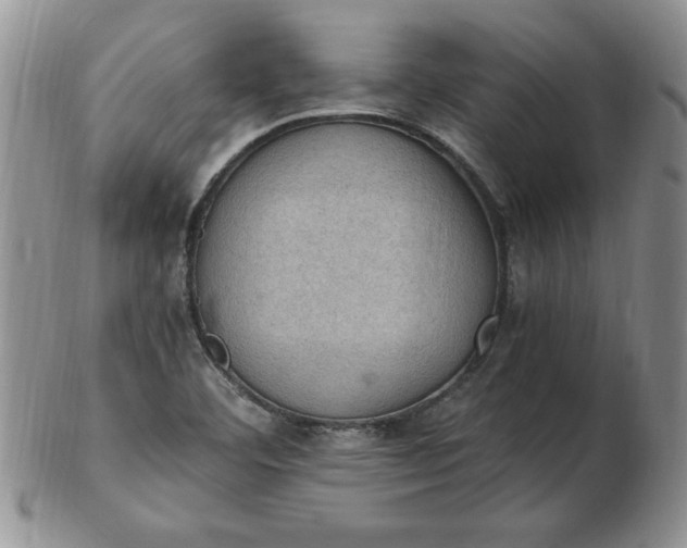 X0000103141460200809051603