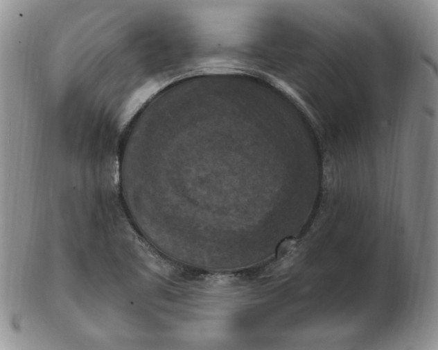 X0000103141461200809051603