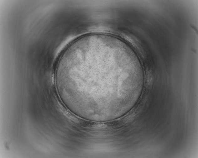 X0000103141462200809051603