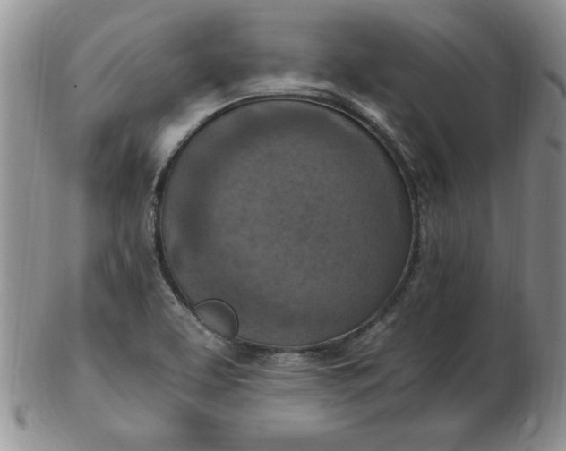 X0000103141463200809051603