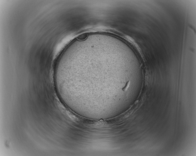 X0000103141464200809051603