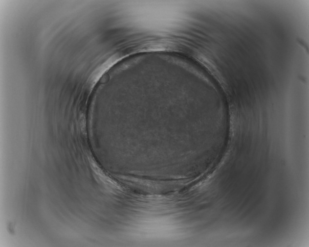 X0000103141465200809051603