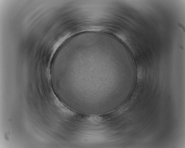 X0000103141466200809051603