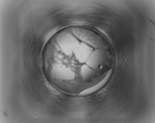 X0000103141467200809051603