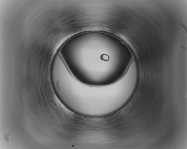 X0000103141468200809051603