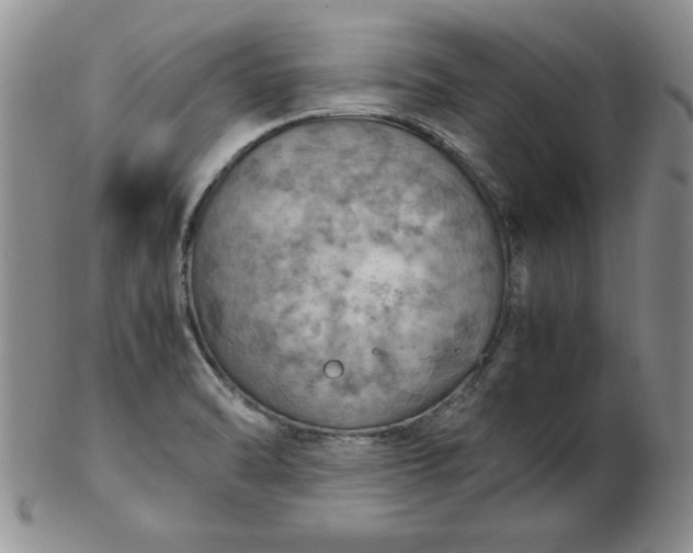 X0000103141470200809051603