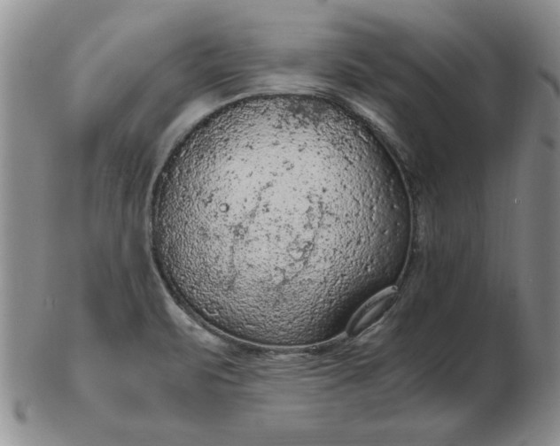 X0000103141471200809051603