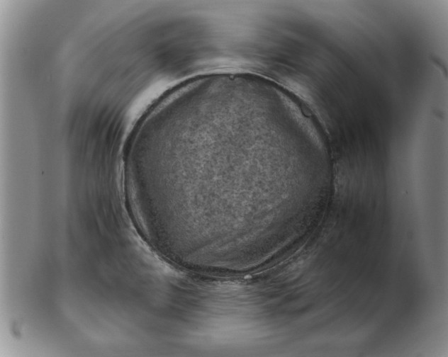 X0000103141472200809051603