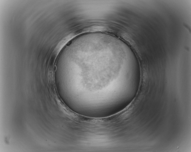 X0000103141473200809051603