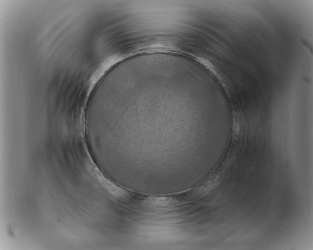 X0000103141474200809051603