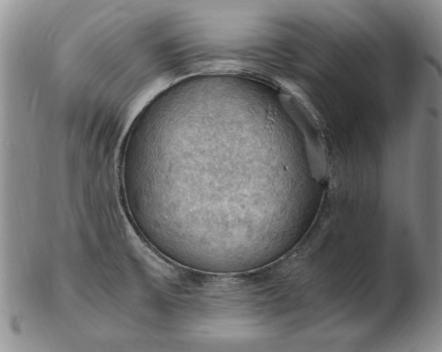 X0000103141475200809051603