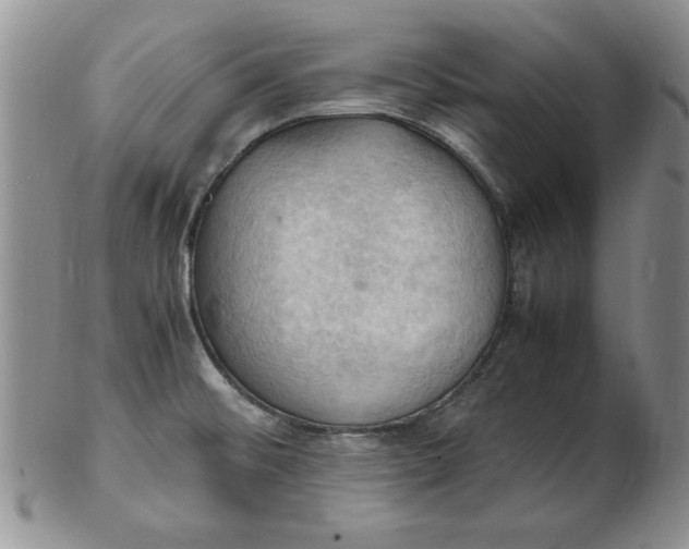 X0000103141476200809051603