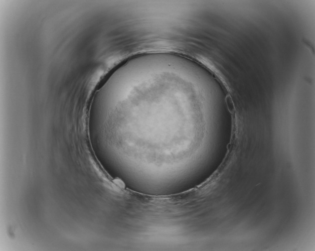 X0000103141477200809051603