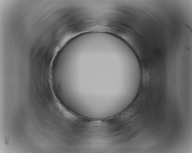 X0000103141478200809051603