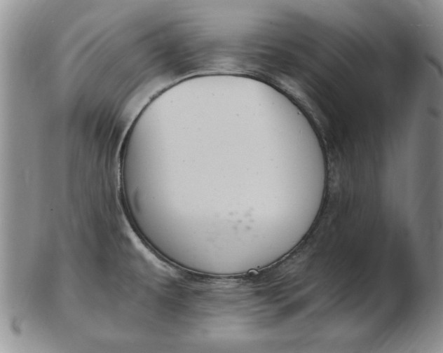 X0000103141479200809051603