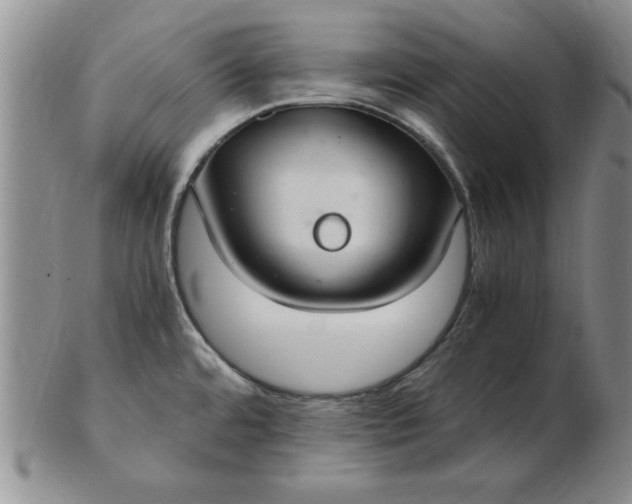 X0000103141480200809051603