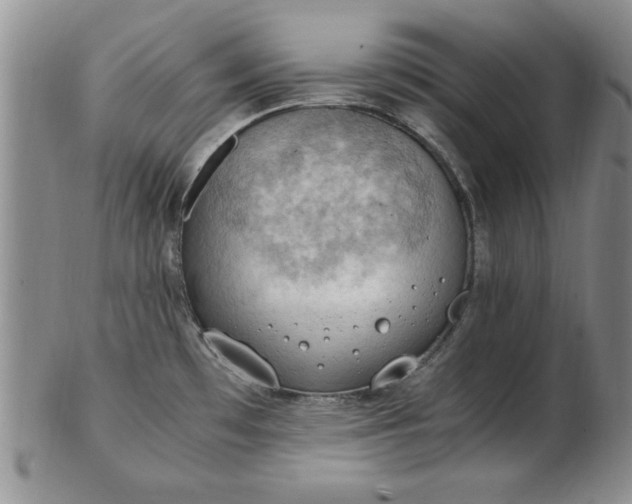 X0000103141481200809051603